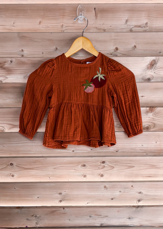 Terra Cotta Tomato Tunic Dress - size 2T