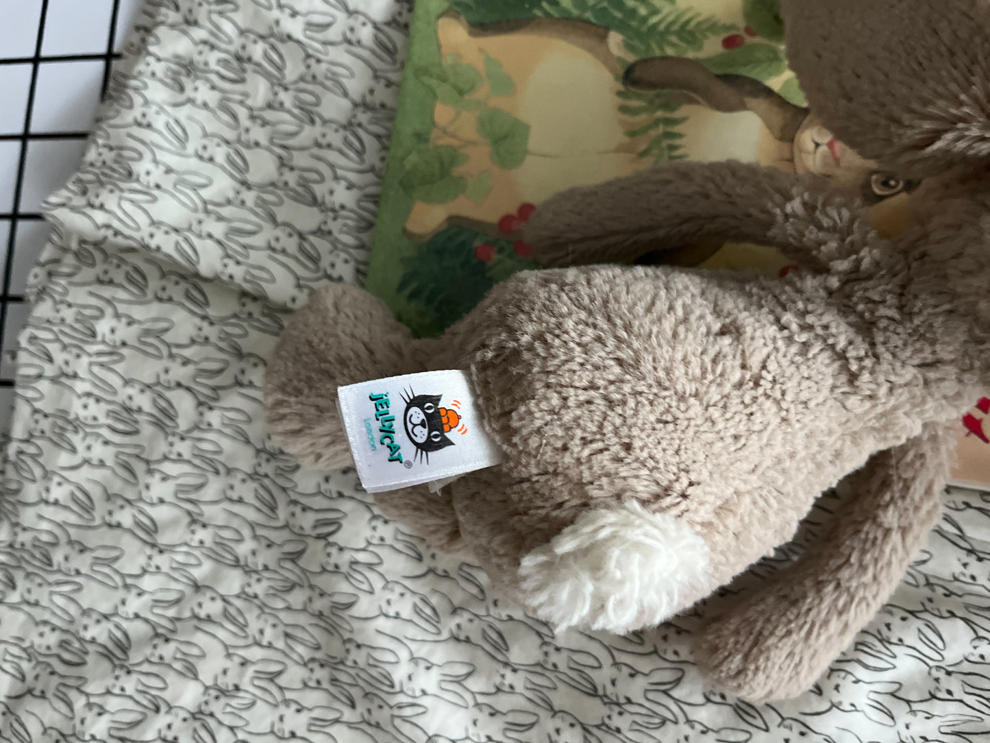 The Velveteen Rabbit Storybook Gift Set