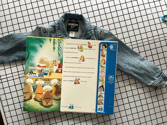 Disney Princess Storybook Gift Set