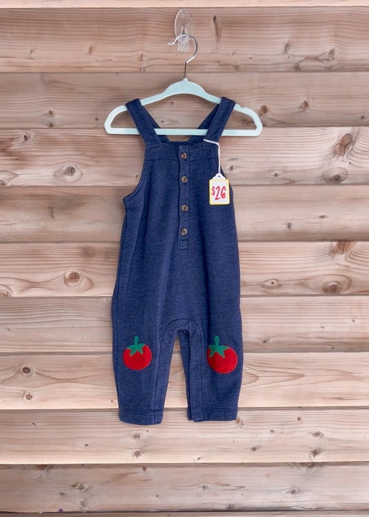 Blue Tomato Overalls - size 6-12mos